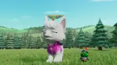 Щенячий патруль 11 сезон 6 серия