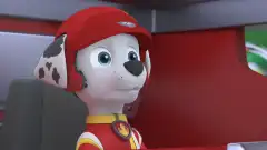 Щенячий патруль 11 сезон 2 серия