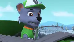 Щенячий патруль 10 сезон 4 серия