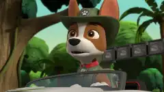 Щенячий патруль 9 сезон 21 серия