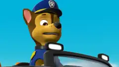 Щенячий патруль 5 сезон 37 серия