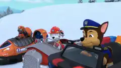 Щенячий патруль 10 сезон 14 серия