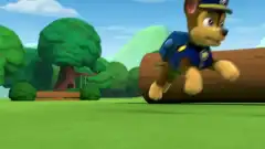 Щенячий патруль 1 сезон 8 серия