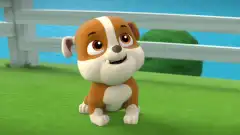 Щенячий патруль 1 сезон 12 серия