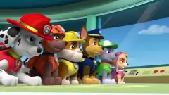 Щенячий патруль 1 сезон 16 серия