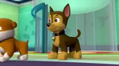 Щенячий патруль 1 сезон 18 серия