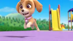 Щенячий патруль 1 сезон 20 серия