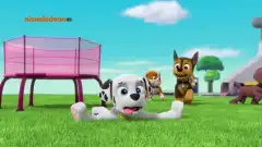 Щенячий патруль 2 сезон 11 серия
