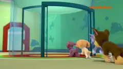 Щенячий патруль 3 сезон 2 серия