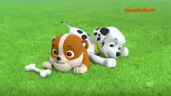 Щенячий патруль 3 сезон 13 серия