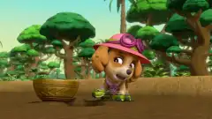 Щенячий патруль 5 сезон 3 серия