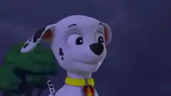 Щенячий патруль 5 сезон 7 серия