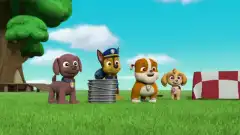 Щенячий патруль 5 сезон 10 серия