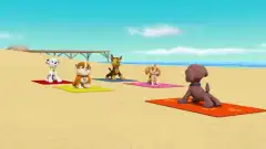 Щенячий патруль 5 сезон 12 серия