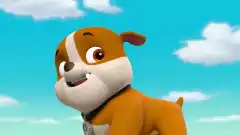 Щенячий патруль 5 сезон 23 серия