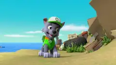 Щенячий патруль 5 сезон 26 серия