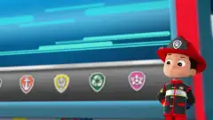 Щенячий патруль 6 сезон 2 серия