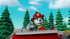 Щенячий патруль 6 сезон 10 серия