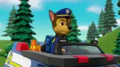 Щенячий патруль 6 сезон 13 серия