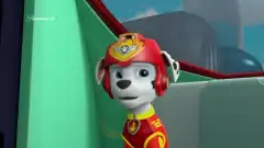 Щенячий патруль 6 сезон 16 серия