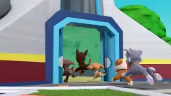 Щенячий патруль 8 сезон 23 серия