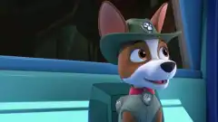 Щенячий патруль 8 сезон 26 серия