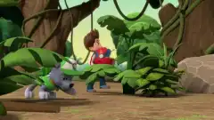 Щенячий патруль 9 сезон 8 серия