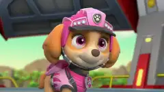 Щенячий патруль 9 сезон 15 серия