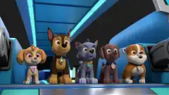 Щенячий патруль 9 сезон 19 серия