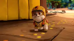 Щенячий патруль 10 сезон 8 серия